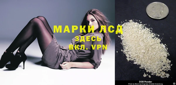 шишки Арсеньев