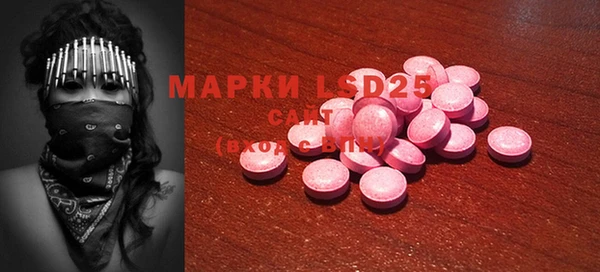 шишки Арсеньев