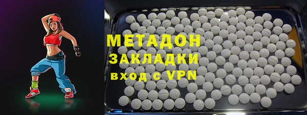 шишки Арсеньев